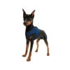 Cooling Comfy Harnass Pacific Blue 1 Cooling Comfy Harnass Pacific Blue -Honden Benodigdheden Winkel aqua coolkeeper comfy harness s pacific blue 80555 0300 none