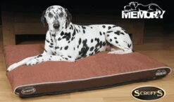 Scruffs Hilton Orthopaedic Medium Hondenkussen Bruin 9 Scruffs Hilton Orthopaedic Medium Hondenkussen Bruin -Honden Benodigdheden Winkel file 103