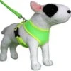 Hondentuig Round Loop Harnass Mesh Fluo Green -Honden Benodigdheden Winkel file 107