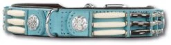 Hondenhalsband Baby Blue Eagle 25mm
