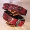 Hondenhalsband Savanne Bordeaux -Honden Benodigdheden Winkel file 121