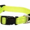 Rogz For Dogs Lumberjack Hondenhalsband Verstelbaar Geel 73 X 2,5 Cm -Honden Benodigdheden Winkel file 127