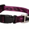 ROGZ Hondenhalsband Alpinist Paars -Honden Benodigdheden Winkel file 128