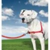 PetSafe Anti-Trek Hondentuig Easy Walk ® Rood -Honden Benodigdheden Winkel file 131