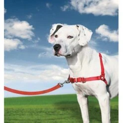 PetSafe Anti-Trek Hondentuig Easy Walk ® Rood -Honden Benodigdheden Winkel file 132