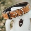 Hunter Halsband Tara - 45 Cm -Honden Benodigdheden Winkel file 139