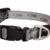 ROGZ Hondenhalsband Alpinist Platinum -Honden Benodigdheden Winkel file 140