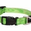 ROGZ Hondenhalsband Alpinist Lime -Honden Benodigdheden Winkel file 158