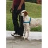 PetSafe Easywalk Hondenharnas Deluxe - Blauw - L 1 PetSafe Easywalk Hondenharnas Deluxe - Blauw - L -Honden Benodigdheden Winkel file 159