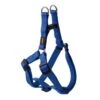 Rogz For Dogs Nitelife Step-in Hondentuig Verstelbaar Blauw 38 X 1,1 Cm 1 Rogz For Dogs Nitelife Step-in Hondentuig Verstelbaar Blauw 38 X 1,1 Cm -Honden Benodigdheden Winkel file 167