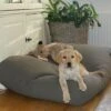 Hondenkussen Muisgrijs Small -Honden Benodigdheden Winkel file 17