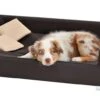 Hondensofa Candy Donkerbruin -Honden Benodigdheden Winkel file 19