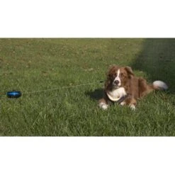 Petstages Rollijn Met Bodempin -Honden Benodigdheden Winkel file 261