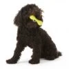 Zogoflex Hurley Dog Bone - Small - Lime -Honden Benodigdheden Winkel file 281