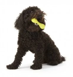 Zogoflex Hurley Dog Bone - Small - Lime -Honden Benodigdheden Winkel file 282