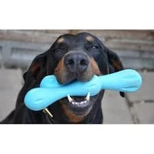 Zogoflex Hurley Dog Bone - Mini (XS) - Aqua 5 Zogoflex Hurley Dog Bone - Mini (XS) - Aqua - Afbeelding 3