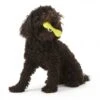 Zogoflex Hurley Dog Bone - Mini (XS) - Lime -Honden Benodigdheden Winkel file 287
