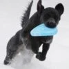 Zogoflex Zisc Flying Disc - Large - Aqua -Honden Benodigdheden Winkel file 307