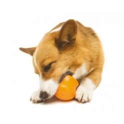 Zogoflex Toppl Treat Toy - Small - Orange -Honden Benodigdheden Winkel file 328