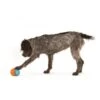 Zogoflex Toppl Treat Toy - Small - Aqua -Honden Benodigdheden Winkel file 329