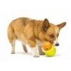 Zogoflex Toppl Treat Toy - Small - Lime -Honden Benodigdheden Winkel file 331