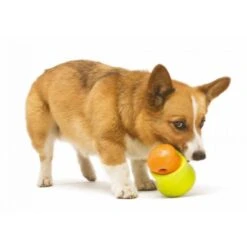 Zogoflex Toppl Treat Toy - Small - Lime -Honden Benodigdheden Winkel file 332