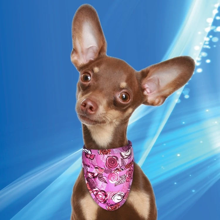 Cooling Pet Bandana Roses 2 Cooling Pet Bandana Roses