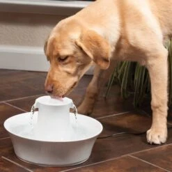 PetSafe Drinkwell Ceramic Avalon Drinkfontein - 2 L -Honden Benodigdheden Winkel file 354