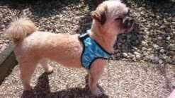 Cooling Comfy Harnass Cool Blue -Honden Benodigdheden Winkel file 357