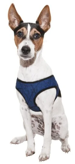 Cooling Comfy Harnass Pacific Blue -Honden Benodigdheden Winkel file 366