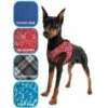 Cooling Comfy Harnass Roses -Honden Benodigdheden Winkel file 367