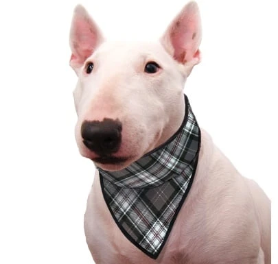 Cooling Pet Bandana Scottish Grey 5 Cooling Pet Bandana Scottish Grey - Afbeelding 3