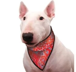 Cooling Pet Bandana Red Western -Honden Benodigdheden Winkel file 375