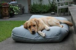Hondenkussen Lichtgrijs Superlarge