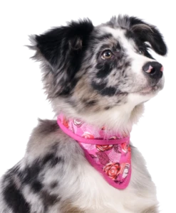 Cooling Pet Bandana Roses 6 Cooling Pet Bandana Roses -Honden Benodigdheden Winkel file 4