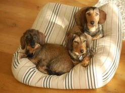Hondenbed Country Field Streep Small -Honden Benodigdheden Winkel file 54