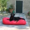 Hondenbed Rood Vuilafstotende Coating Extra Small -Honden Benodigdheden Winkel file 64