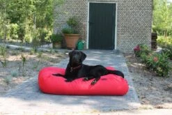 Hondenbed Rood Vuilafstotende Coating Extra Small -Honden Benodigdheden Winkel file 65