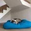 Hondenbed Aqua Blauw Large -Honden Benodigdheden Winkel file 68