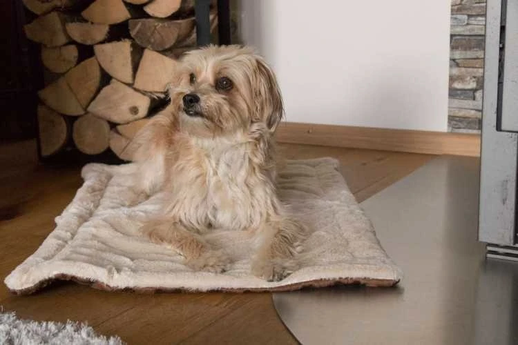 Hondendeken Relax 3 Hondendeken Relax