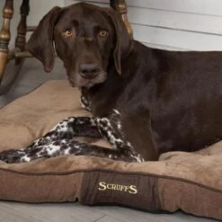 Scruffs Chester Mattress - L - Chocolade -Honden Benodigdheden Winkel file 84