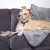 Scruffs Cosy Hondendeken -Honden Benodigdheden Winkel file 87