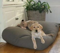 Hondenkussen Muisgrijs Medium