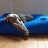 Hondenkussen Kobalt Blauw Vuilafstotende Coating Medium -Honden Benodigdheden Winkel file 96