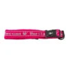 Hurtta Padded Collar - Roze - 30-40 Cm -Honden Benodigdheden Winkel hurtta padded collar roze 30 40 cm 70954 0300 none
