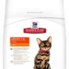Hill's Feline Adult Light Kip 10 Kg 2 Hill's Feline Adult Light Kip 10 Kg -Honden Benodigdheden Winkel image 175