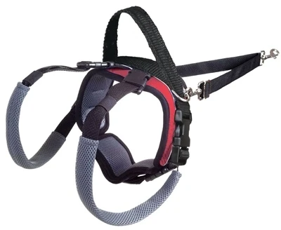 PetSafe Solvit Carelift Achterhand - Small (rood) 4 PetSafe Solvit Carelift Achterhand - Small (rood) - Afbeelding 2