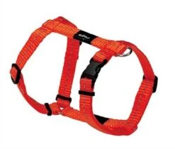 Rogz For Dogs Nitelife Hondentuig Verstelbaar Oranje 36 X 1,1 Cm