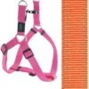 Rogz For Dogs Snake Step-in Hondentuig Verstelbaar Oranje 61 X 1,6 Cm 2 Rogz For Dogs Snake Step-in Hondentuig Verstelbaar Oranje 61 X 1,6 Cm -Honden Benodigdheden Winkel image 55