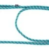 MARTIN SELLIER Looplijn Voor Hond Longe Nylon Reflecterend Blauw 13 Mmx200 Cm -Honden Benodigdheden Winkel image 78